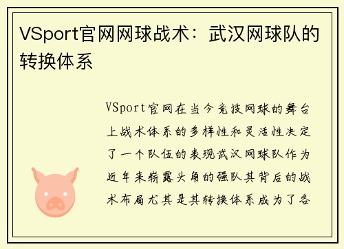 VSport官网网球战术：武汉网球队的转换体系