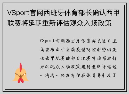 VSport官网西班牙体育部长确认西甲联赛将延期重新评估观众入场政策